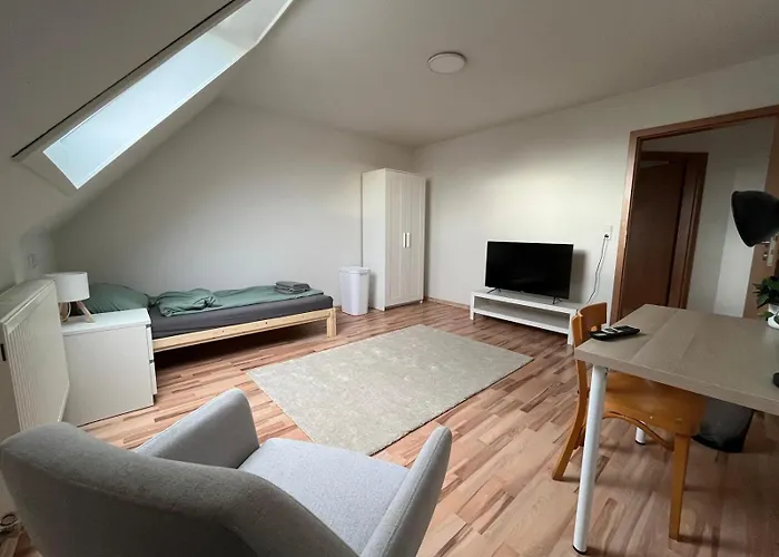 Modernes Boardinghouse Mit Garten Und Terrasse In Offenburg-bohlsbach